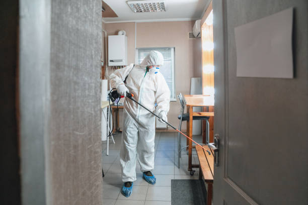 Best Black Mold Removal  in , TX